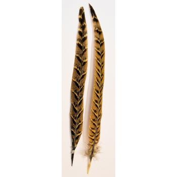 Veniard Hen Pheasant Tail Quil Pari