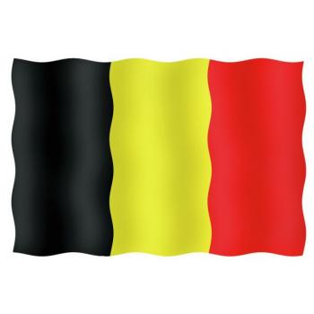 Vierailulippu Belgia 20 x 30 cm