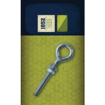 Silmukkapultti AISI316, 10x80mm