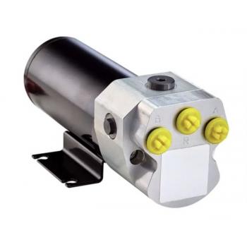 Raymarine Type 3 kääntösuuntapumppu 24 V