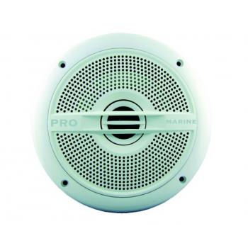 LTC PROMARINE 62 KAIUTIN 6,5'