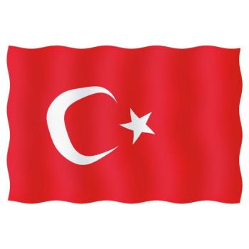 Vierailulippu Turkki 20 x 30 cm