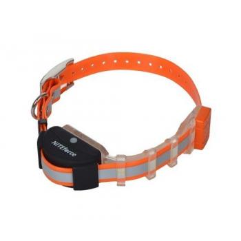 NITEforce Live Map Koira GPS